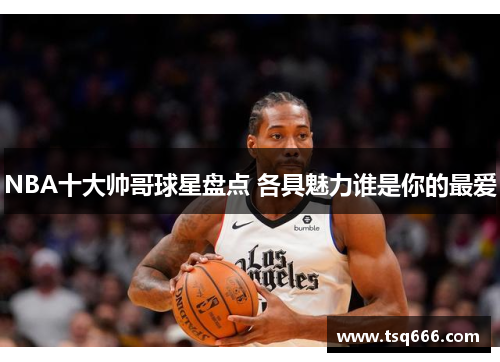 NBA十大帅哥球星盘点 各具魅力谁是你的最爱 NBA十大帅哥球星盘点 各具魅力谁是你的最爱