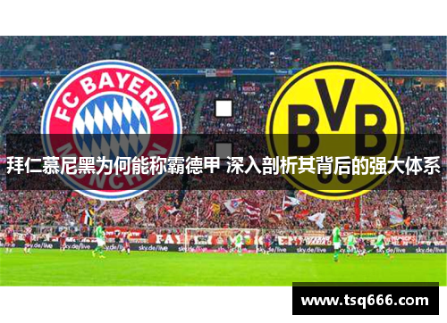 拜仁慕尼黑为何能称霸德甲 深入剖析其背后的强大体系 拜仁慕尼黑为何能称霸德甲 深入剖析其背后的强大体系