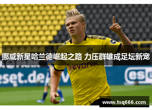 挪威新星哈兰德崛起之路 力压群雄成足坛新宠